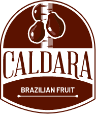 Caldara Brazilian Fruit