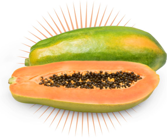 Formosa papaya